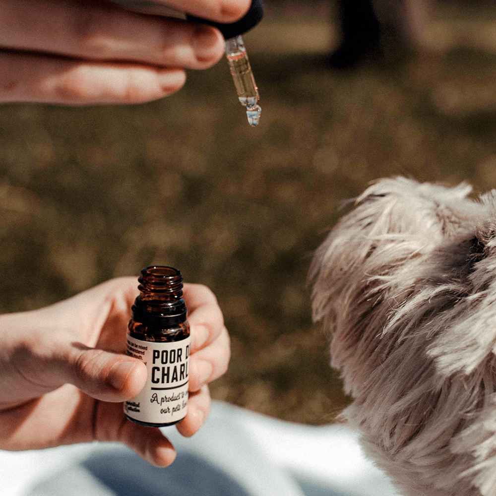 Poor Dog Charlie 5% CBD Drops – Bild 3