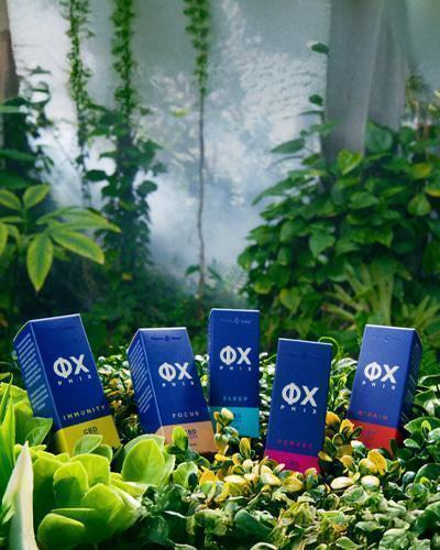 PHIX YOUR LIFE – Bild 4